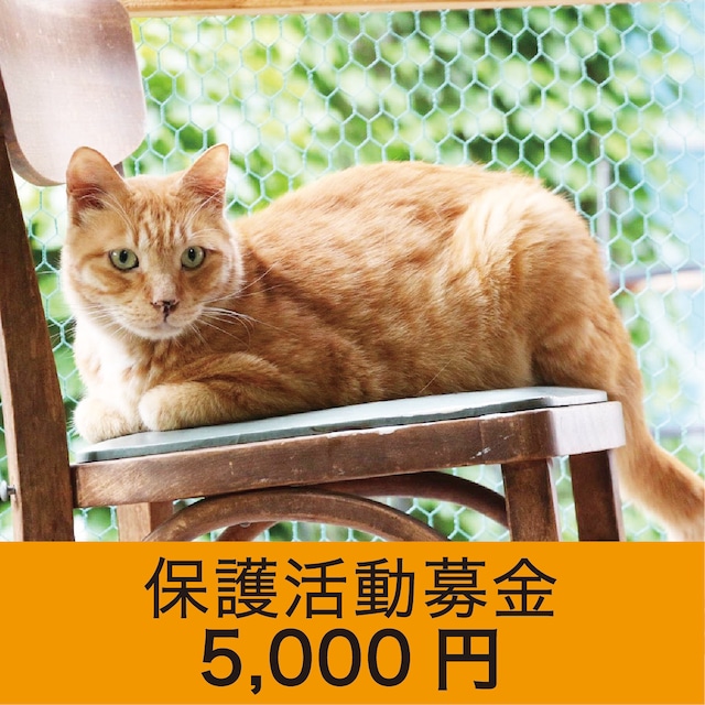 保護活動募金　5000円