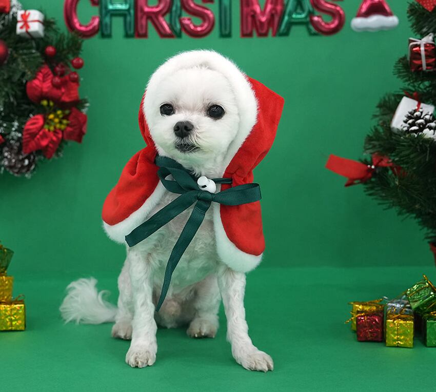 christmas manto / クリスマス マント ドッグウェア 犬の服 帽子 ケープ 冬 サンタ アウター 犬 コスプレ サンタクロース hu7
