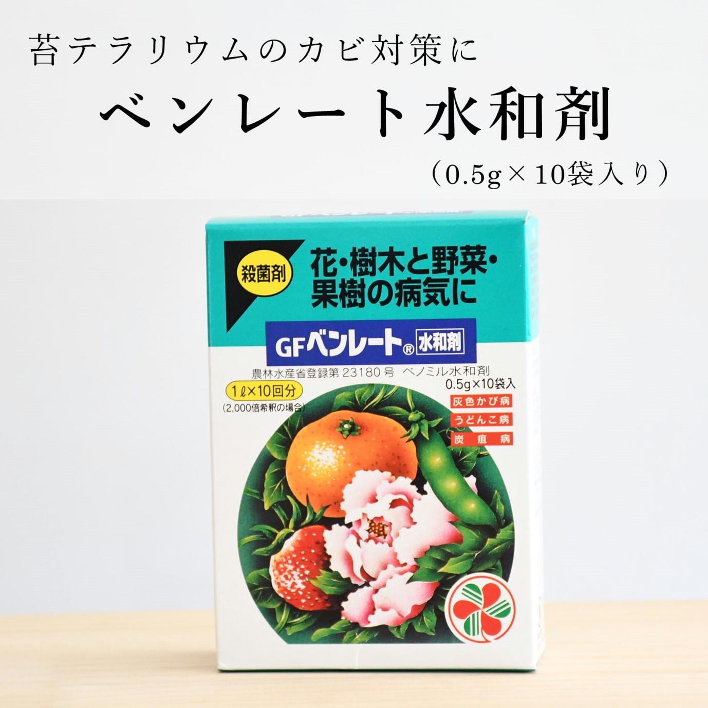 苔之助ページ 苔テラリウム専用道具セット [プロツールスシリーズ