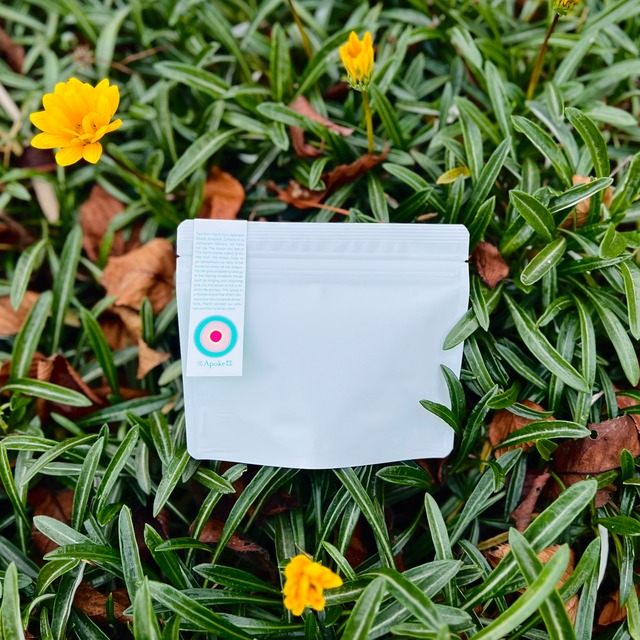 【ティーバック】べにふうき 和紅茶　春摘み 【Whole Leaf カット】