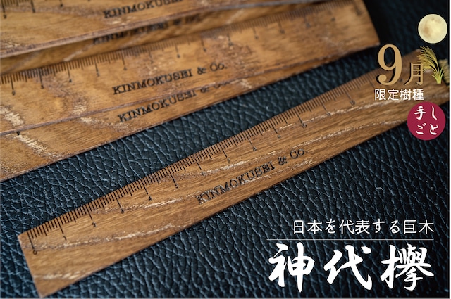 銘木定規 【 日本を代表する巨木 】神代欅　9月限定