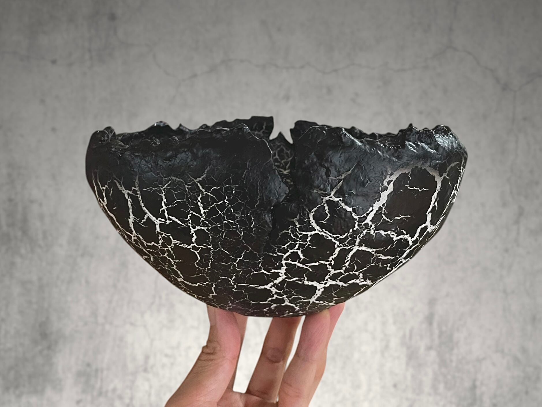 Five Elements Plants Dragon Eggs crack 鉢 Five Elements Plants Dragon Eggs crack 鉢