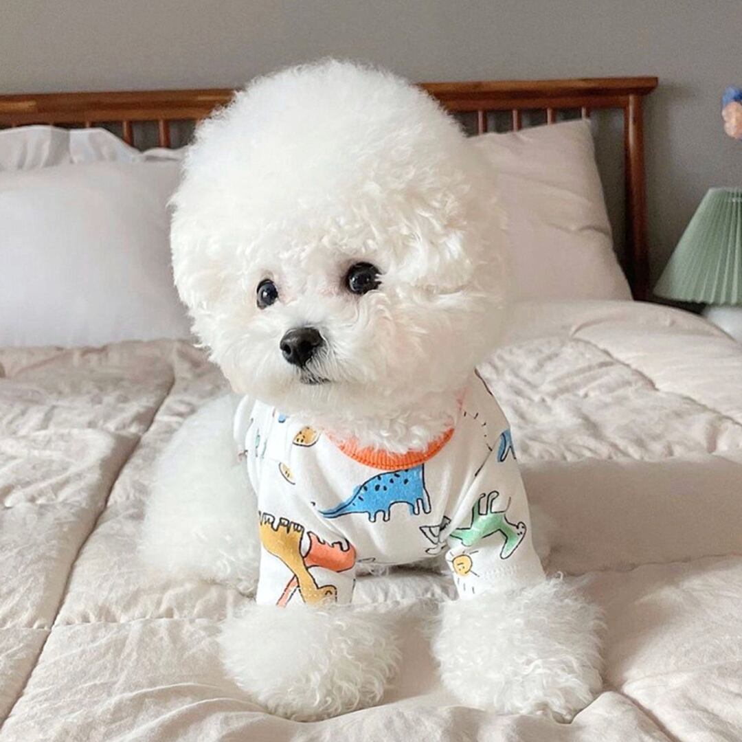 【ワンカラー】イラストタイプの恐竜プリントTシャツ d1063