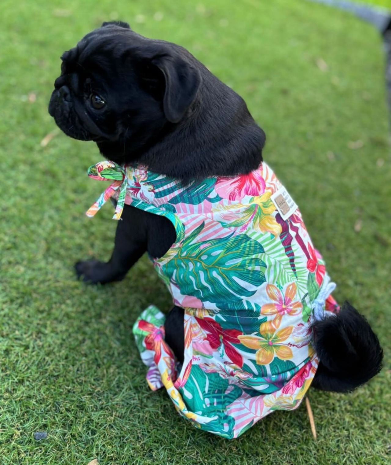 【NALU  select】トロピカルオールインワン(pink／green)
