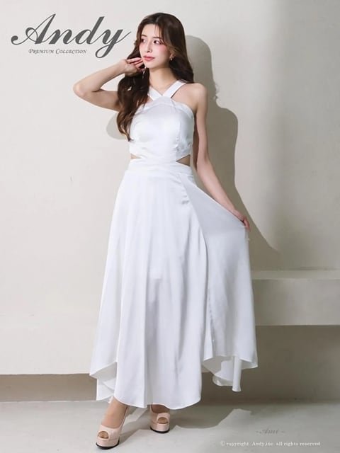 即納】Andy AN-ON3008 | ブリリアントオンラインストア