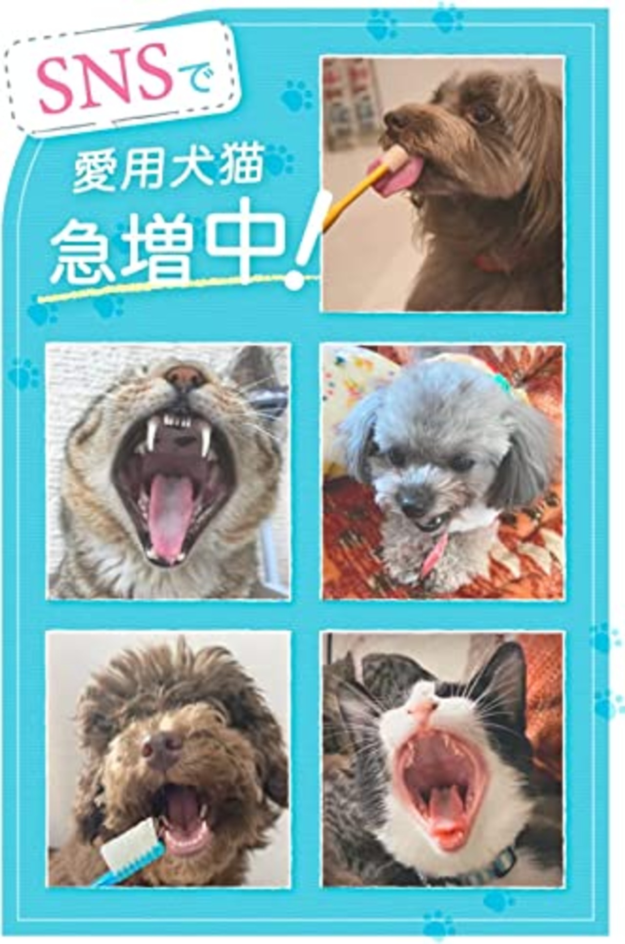 ニオワン 犬 歯石取り 歯磨き はみがき 猫 ペット デンタルケア 口腔歯ブラシ ガム 口臭 歯垢 ジェル 30g