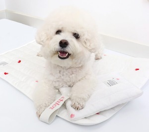 予約 【chiot】ストラップアイスパウチ