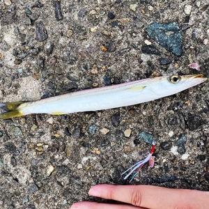 【B級品】Yoshitaro モデル	(伝承毛針)	ネムリセイゴ針　ランダム１０本入り