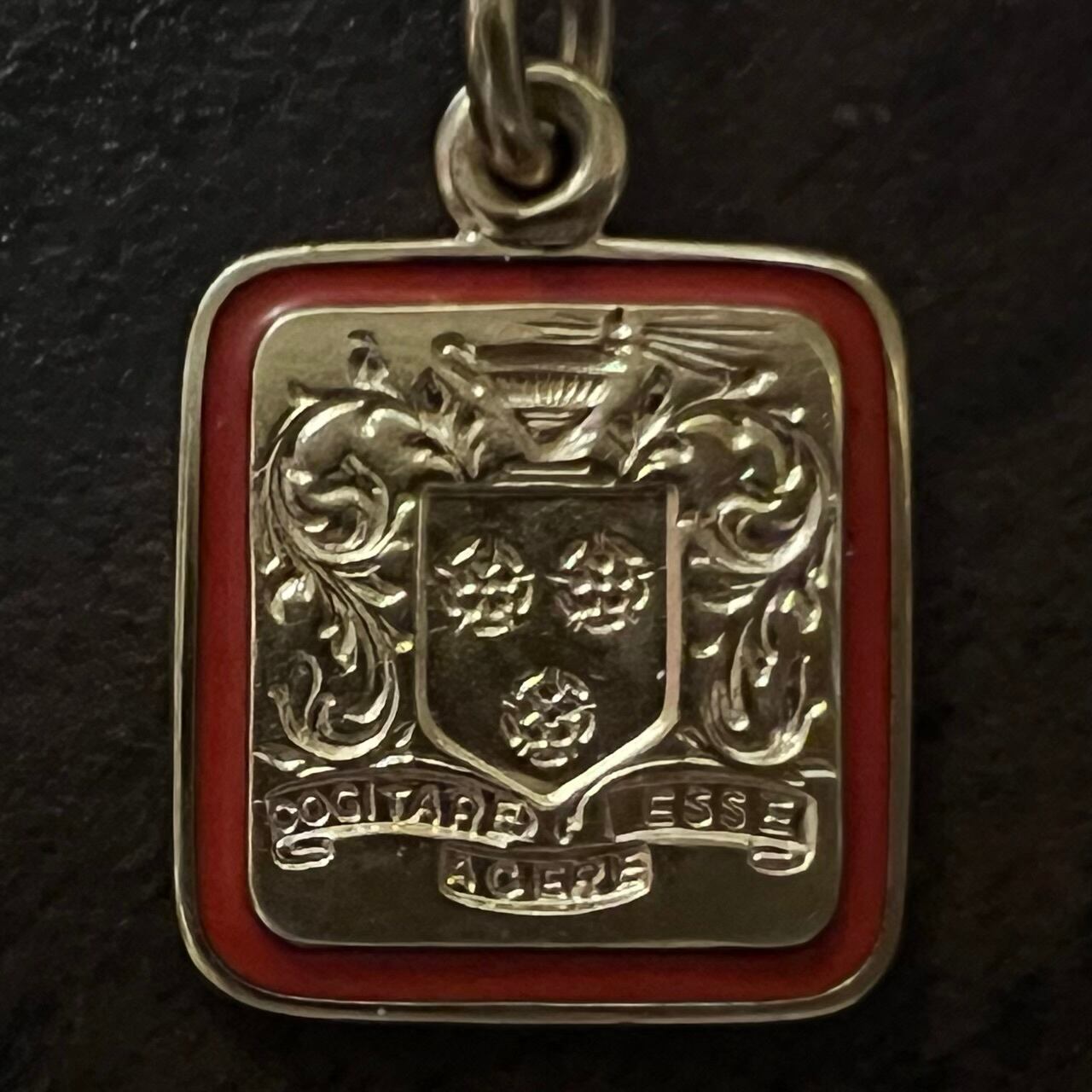VINTAGE TIFFANY & CO. Westover School 1946 Pendant Charm Necklace 