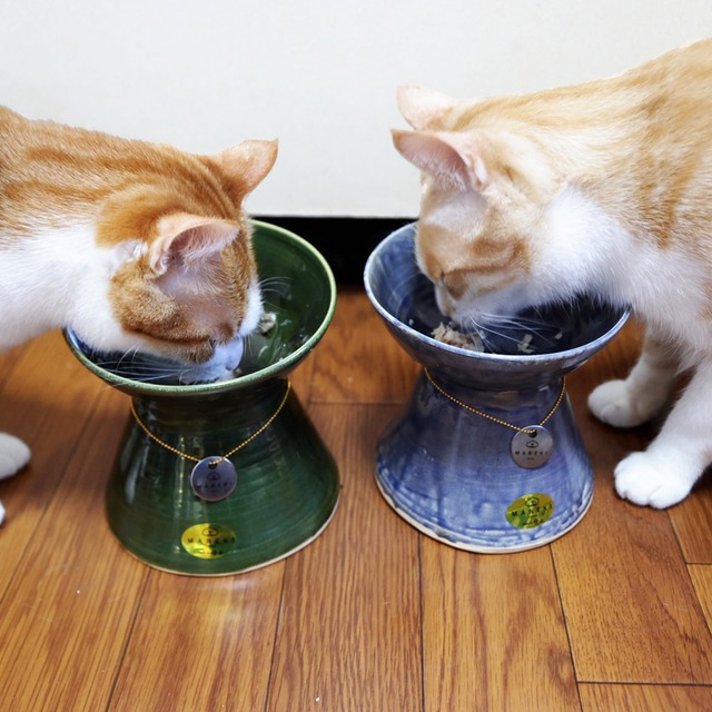 MANEKI’s PET FOOD BOWL【織部色】信楽焼