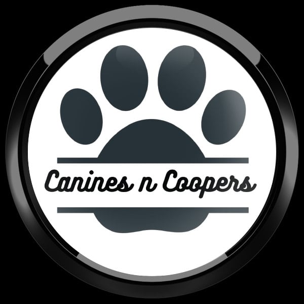 ゴーバッジ(ドーム)（CD1127 - CLUB CANINES N COOPERS） - 画像4