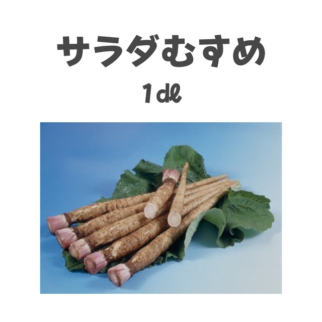 サラダむすめ　ゴボウ種子・1dl