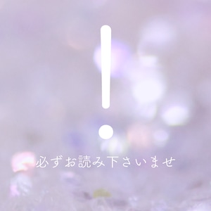 《必ずお読み下さいませ》当ショップの注意事項