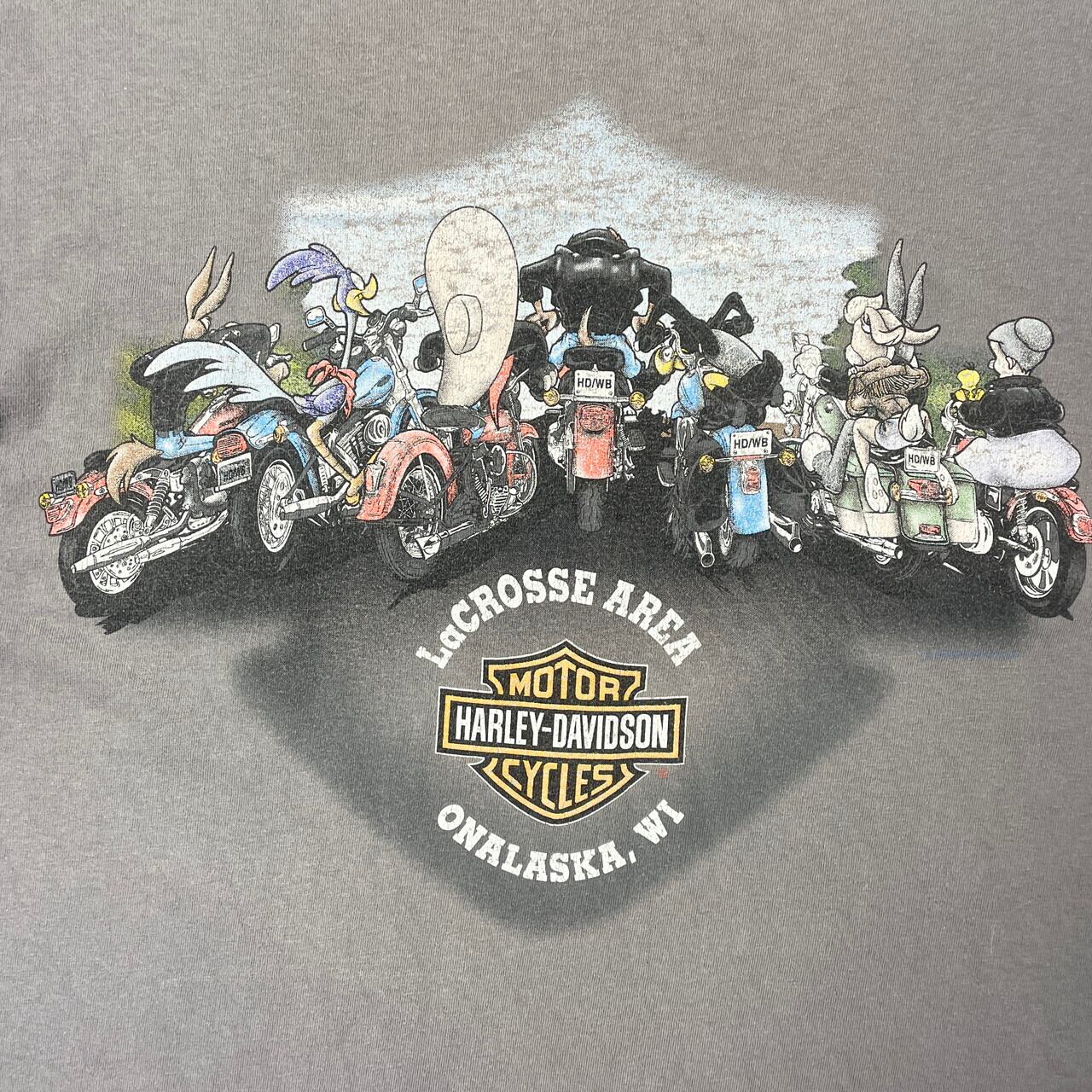 00年代 USA製 Harley-Davidson ハーレーダビッドソン ルーニー
