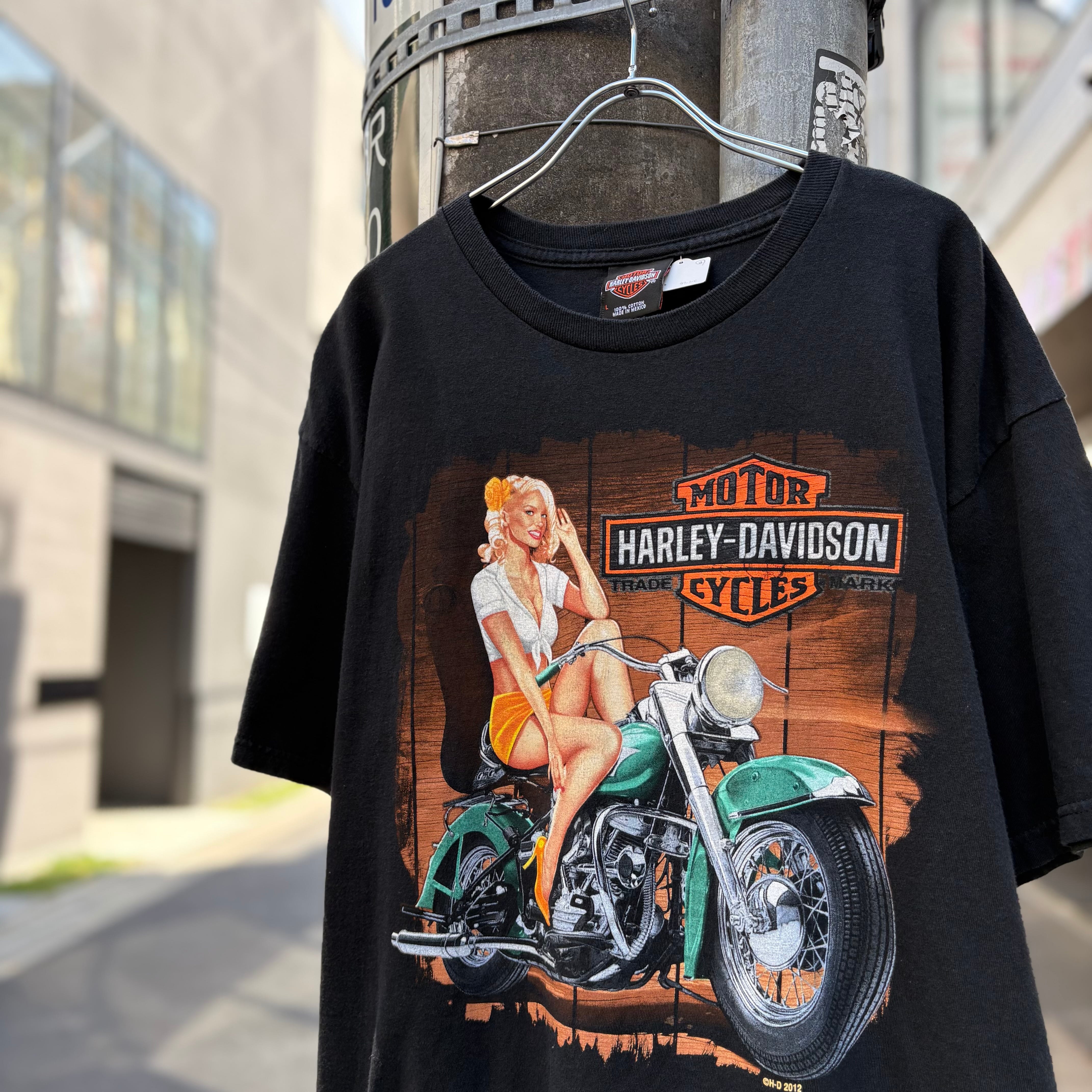 激レア 80s ハーレーダビッドソン ビンテージ ロンT Tシャツ 龍