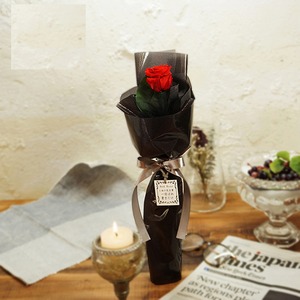 枯れないお花 赤バラ１本のプリザーブドフラワー ボックス入り 花言葉は 一目ぼれ 貴方だけ 結婚１周年や告白のプレゼントに最適 花言葉tag無料 Rose Of Shinsaibashi