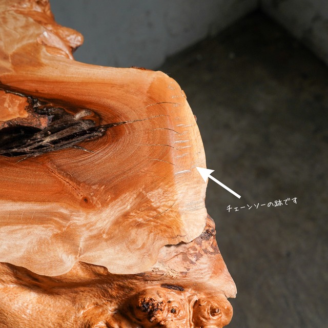 ミズメ瘤の輪切り ディスプレイ用テーブル コンソールテーブル