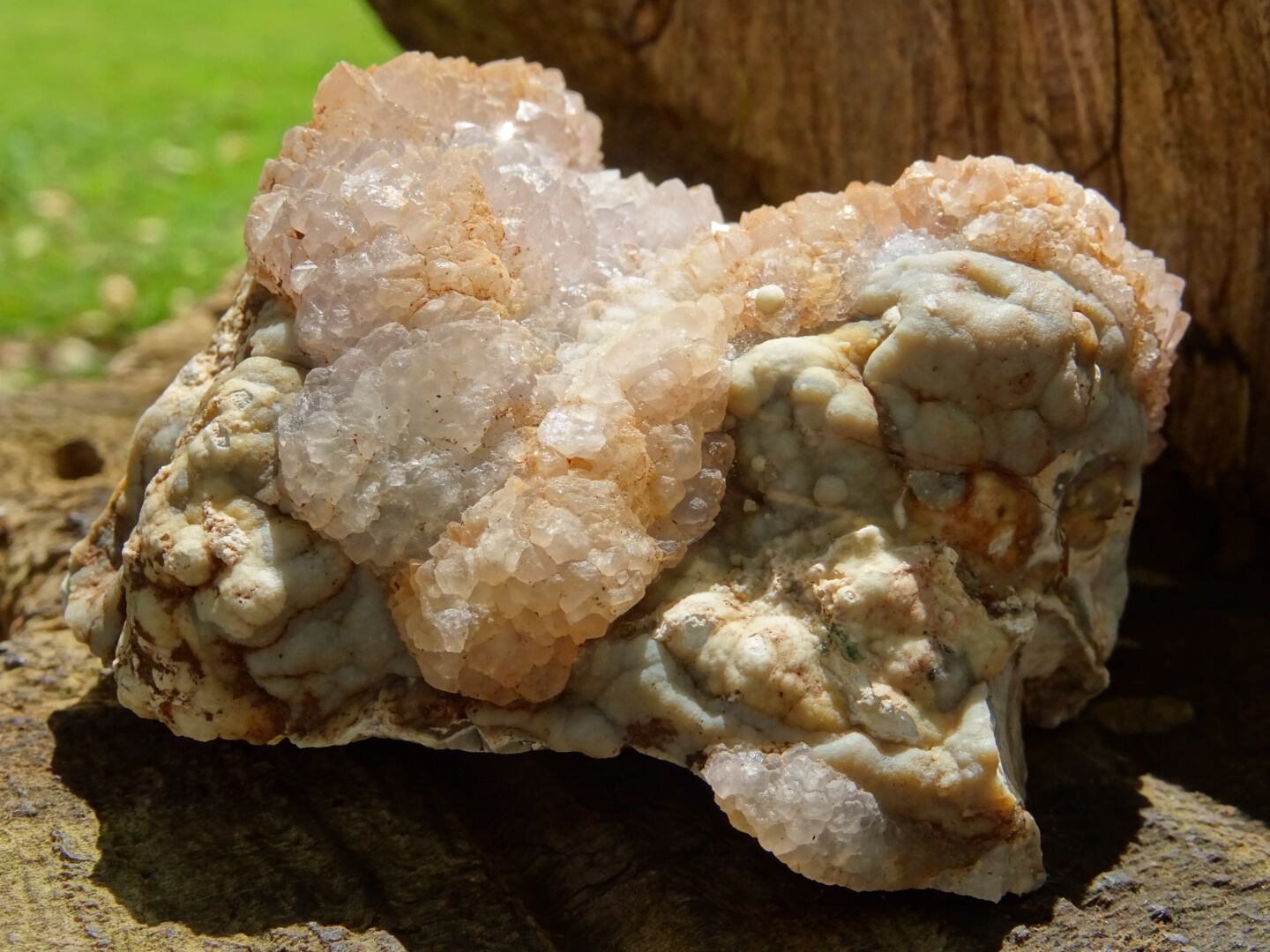 セドナ産コーラルフェアリーストーン(Super Rare) ~Sedona.海の記憶~