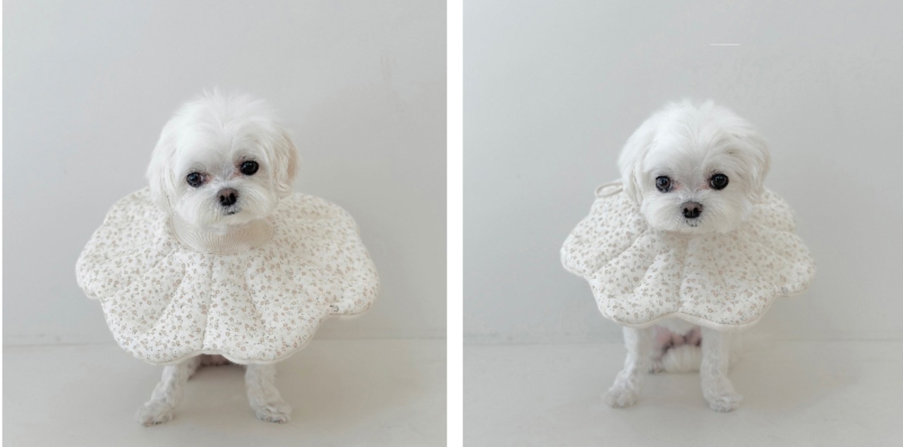 【即納】EYOU ピオナ ネックカラー（ソフトブロッサム）｜ラベンダー - 13