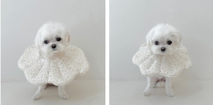 【即納】EYOU ピオナ ネックカラー（ソフトブロッサム）｜ラベンダー