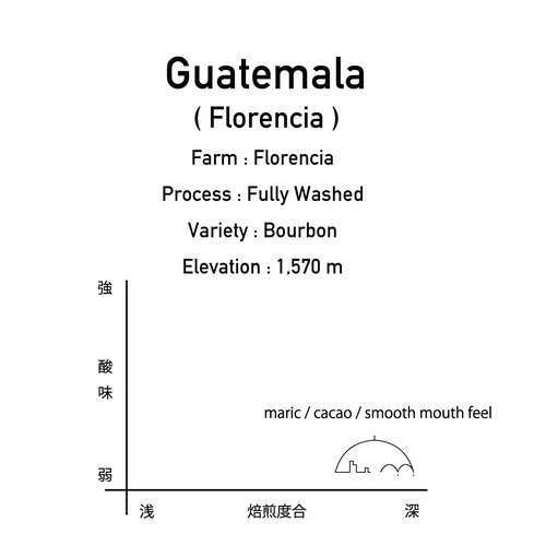 グアテマラ / フロレンシア 200g
