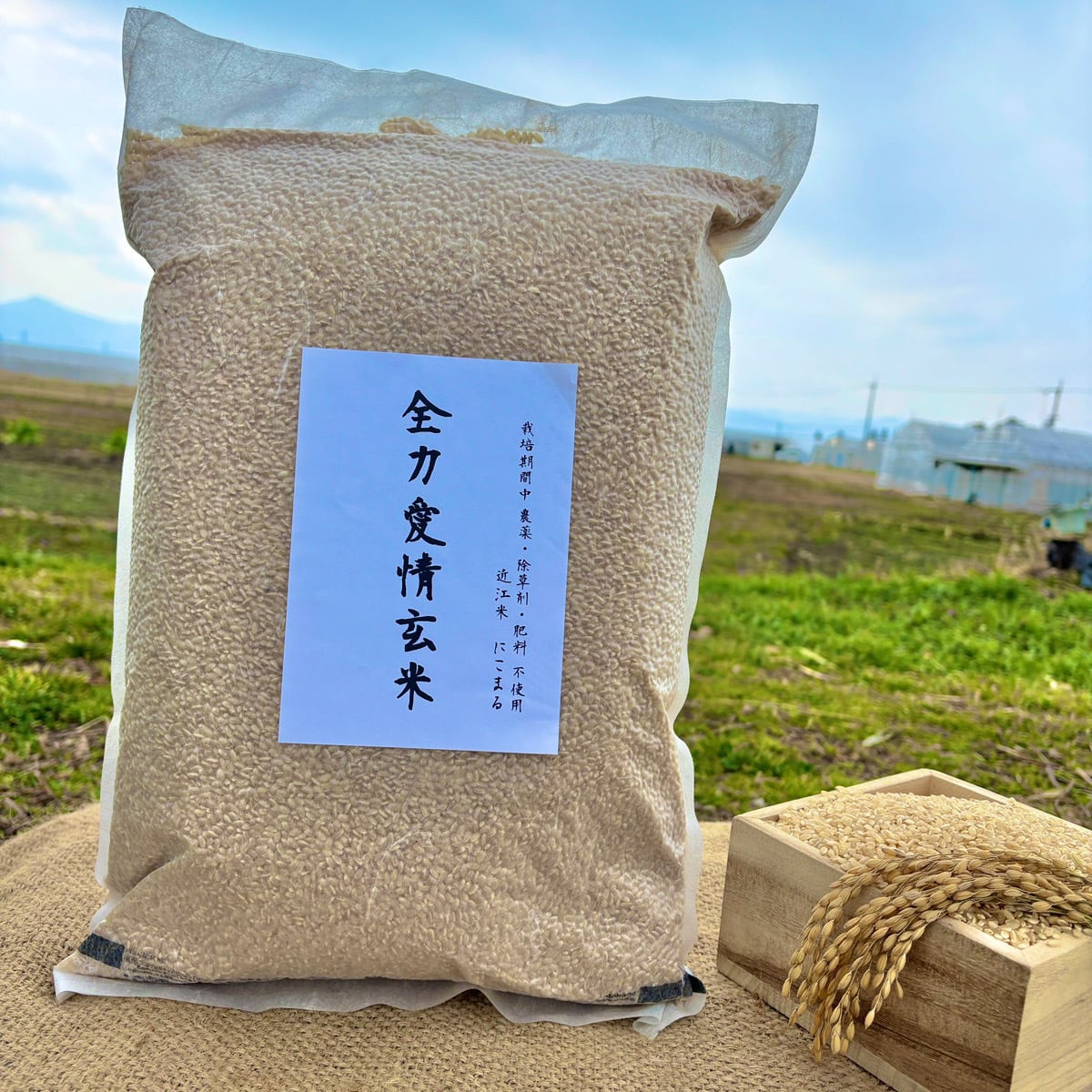 トモ農園公式ECサイト