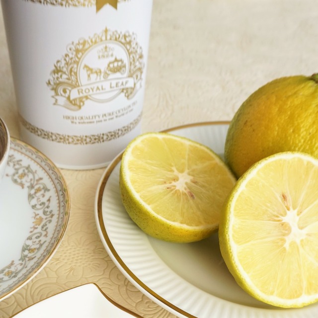 天然アロマ Earl Grey アールグレイ ティーバッグ１２個入 天然ベルガモット精油１００ 使用 こだわりの100 無添加紅茶 Royal Leaf Tea ロイヤル リーフティー