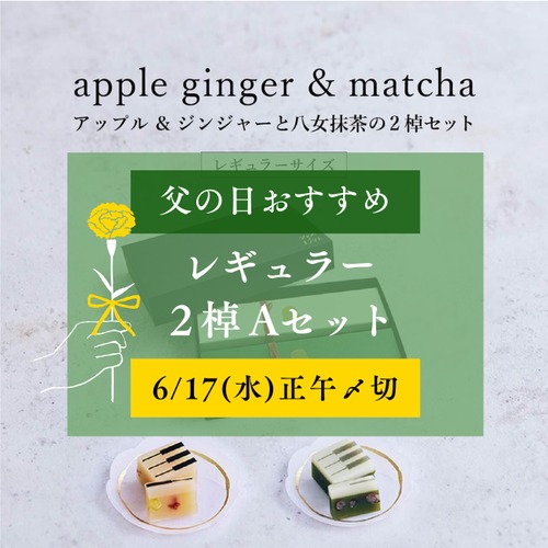 【予約販売】【Aセット】レギュラーサイズ【父の日限定セット・ギフトBOX入り】apple gingerとmatchaの2棹セット