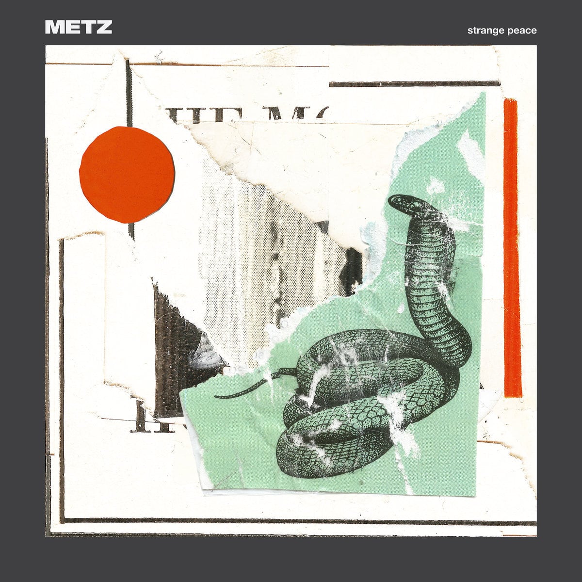  METZ / Strange Peace（LP）