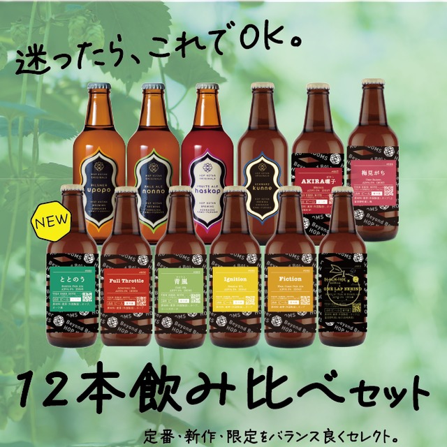 【全部楽しめる！】迷ったらこちら！しっかり楽しむ12本飲み比べセット