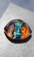 cat's eye