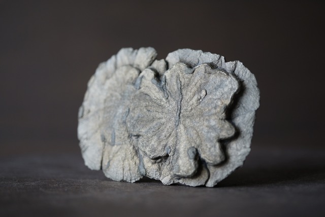 パイライトサン  Pyrite Sun 1060