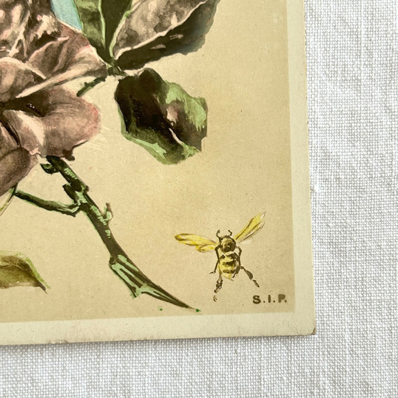 アンティークポストカード　少女彩色写真　1920年頃　Bonne Annee 19psa8-７