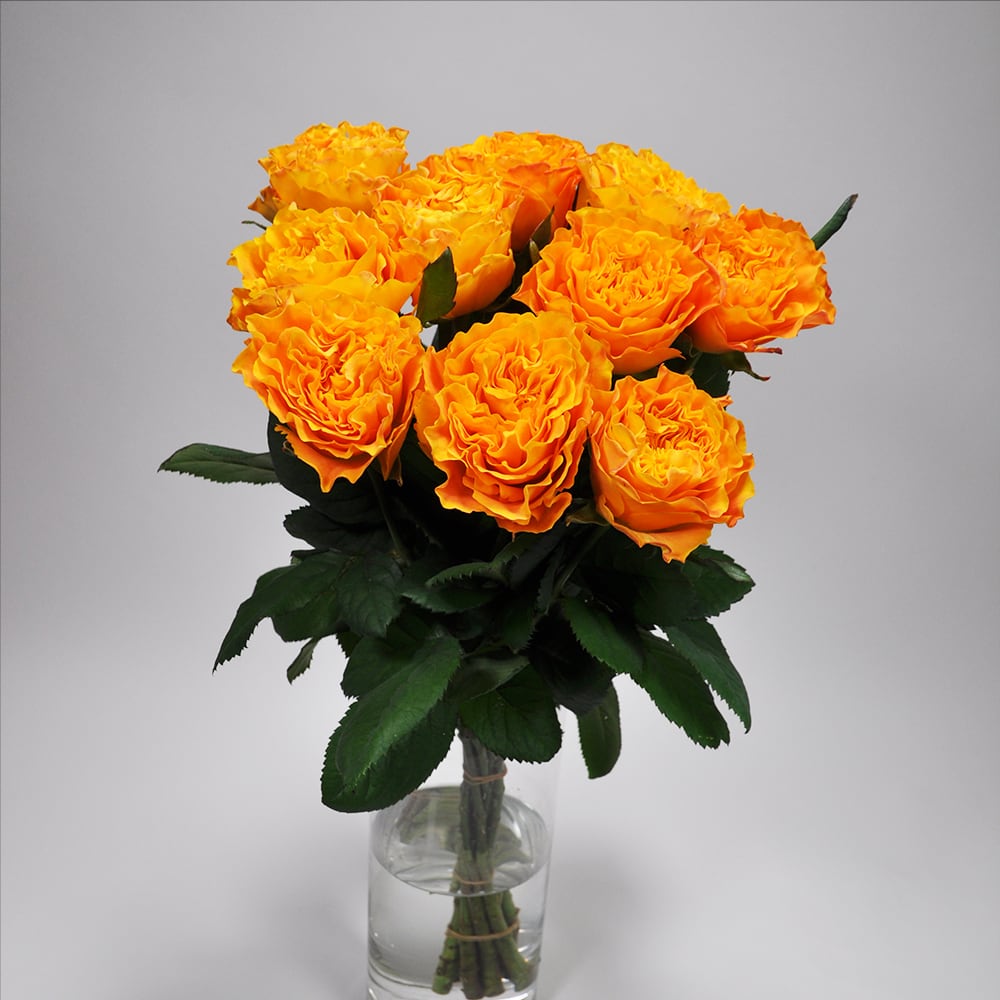 Rose マンゴーリーバ 10本 Ja静岡市 よいはな Yoihana 最高品質のお花をお届けするネット通販