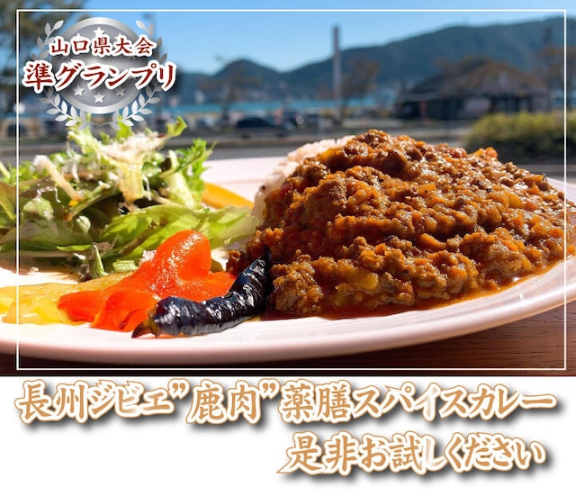 【2021年にっぽんの宝物準グランプリ（山口県大会）】長州ジビエ鹿肉薬膳スパイスカレー5食 ジビエ 鹿肉