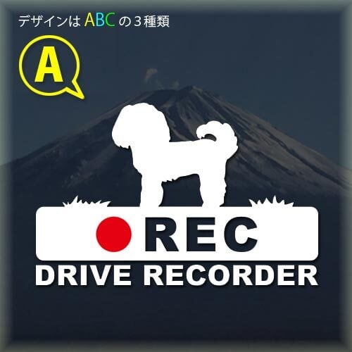 うんコロキャッチMサイズ ネイビー 3枚 パット・ビニール袋付き