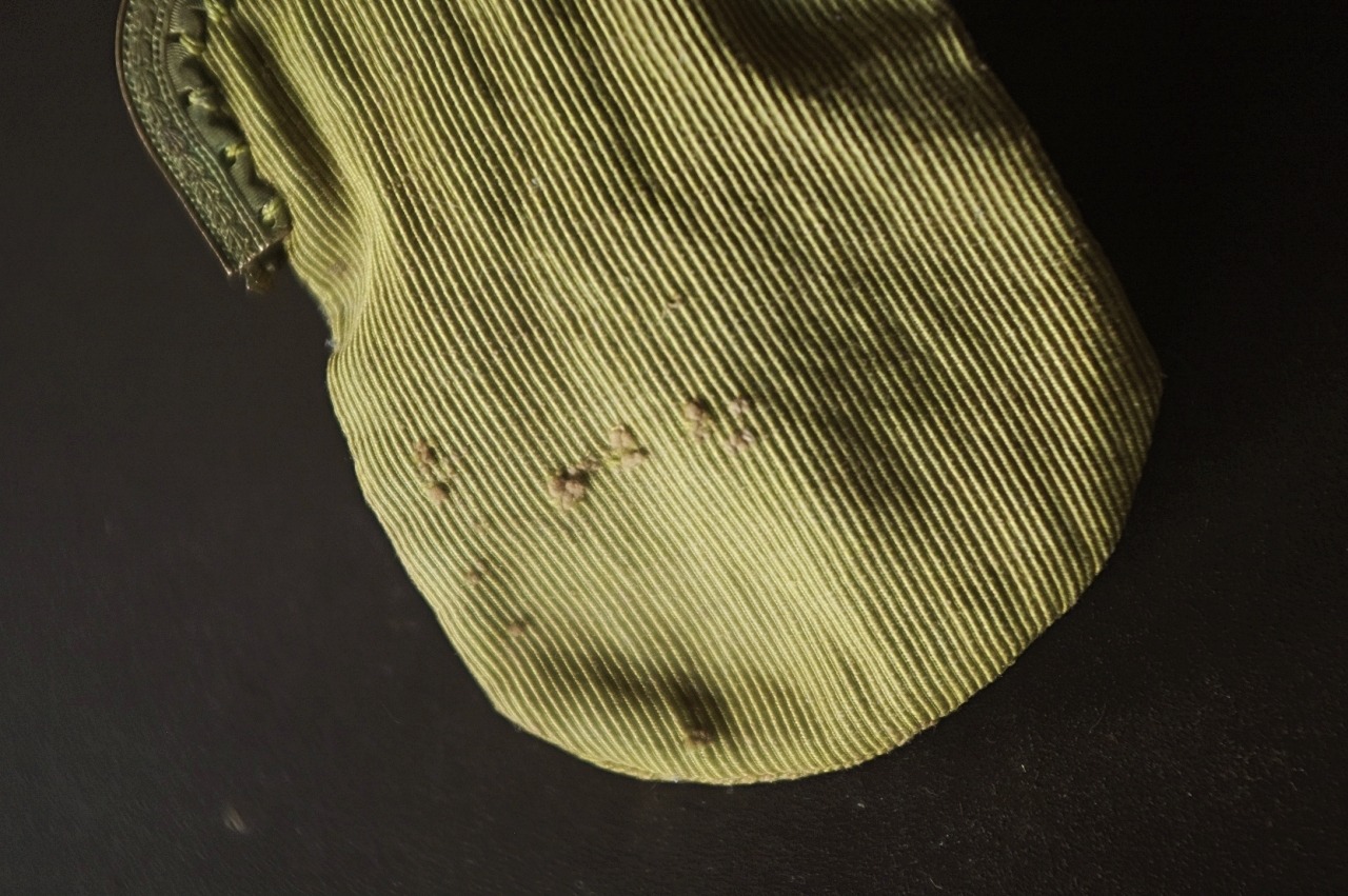 19世紀 フランス 小さな黄緑色と月桂樹のパース ポーチ アンティーク