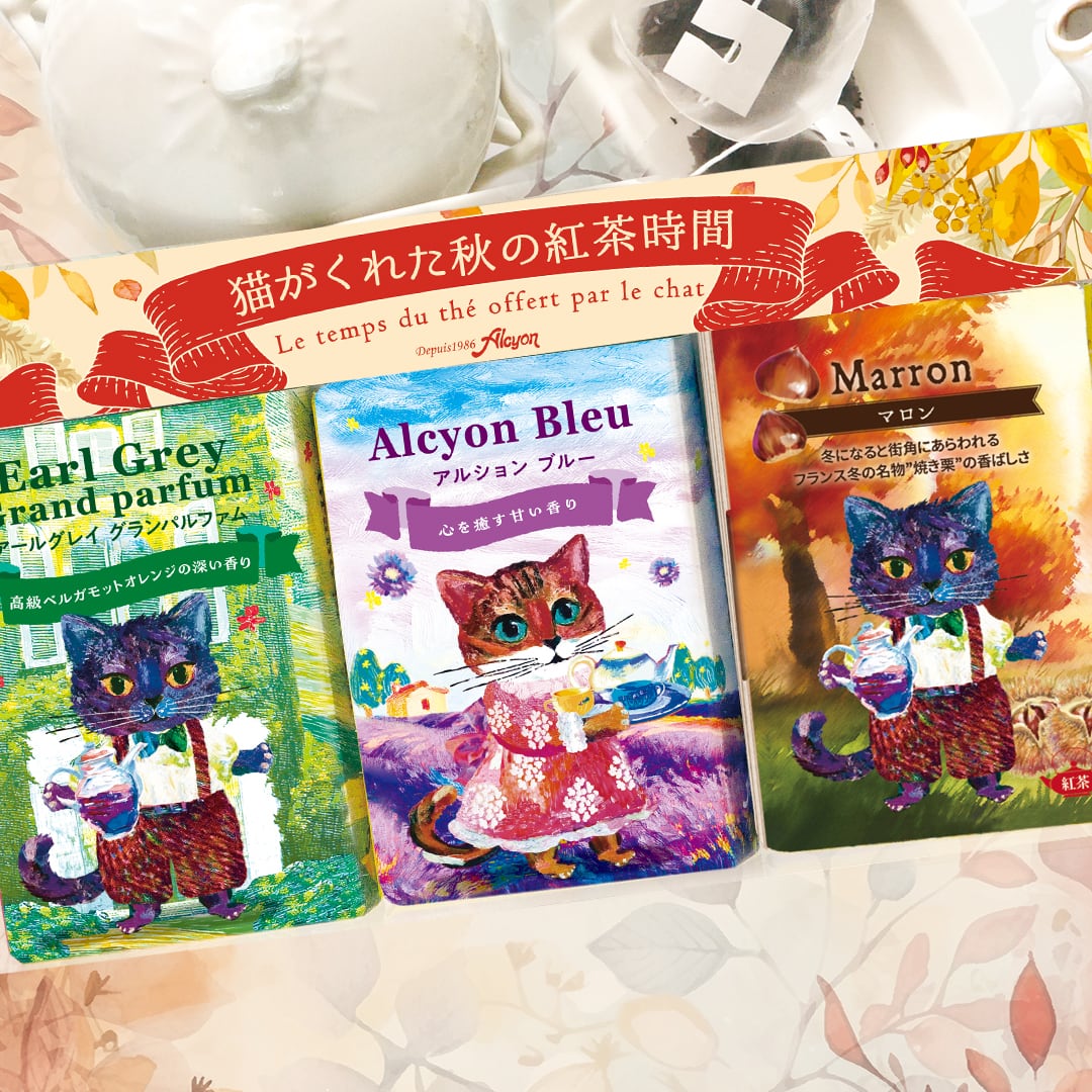 プチギフトにおすすめ☆“猫がくれた紅茶時間” ダージリンフィネス