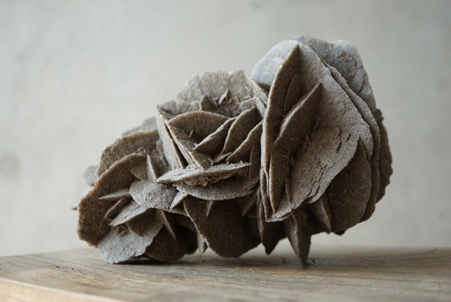 デザートローズ Desert Rose 1403