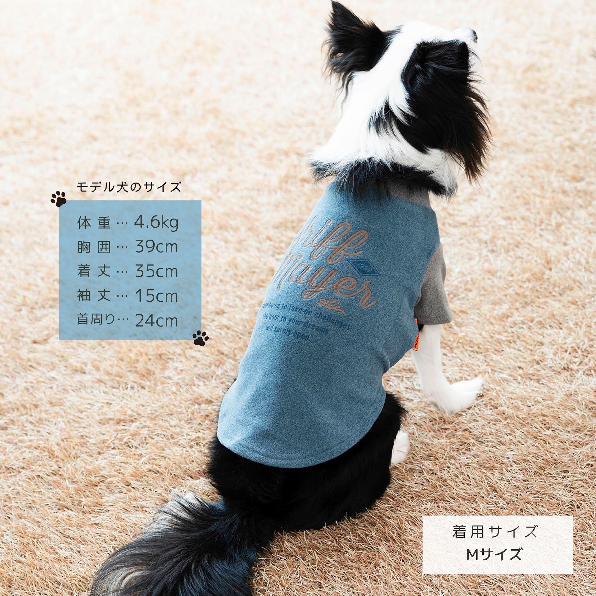 プレゼントCP対象商品】DOGもちのびT（BLUE×GRAY） | 38explore