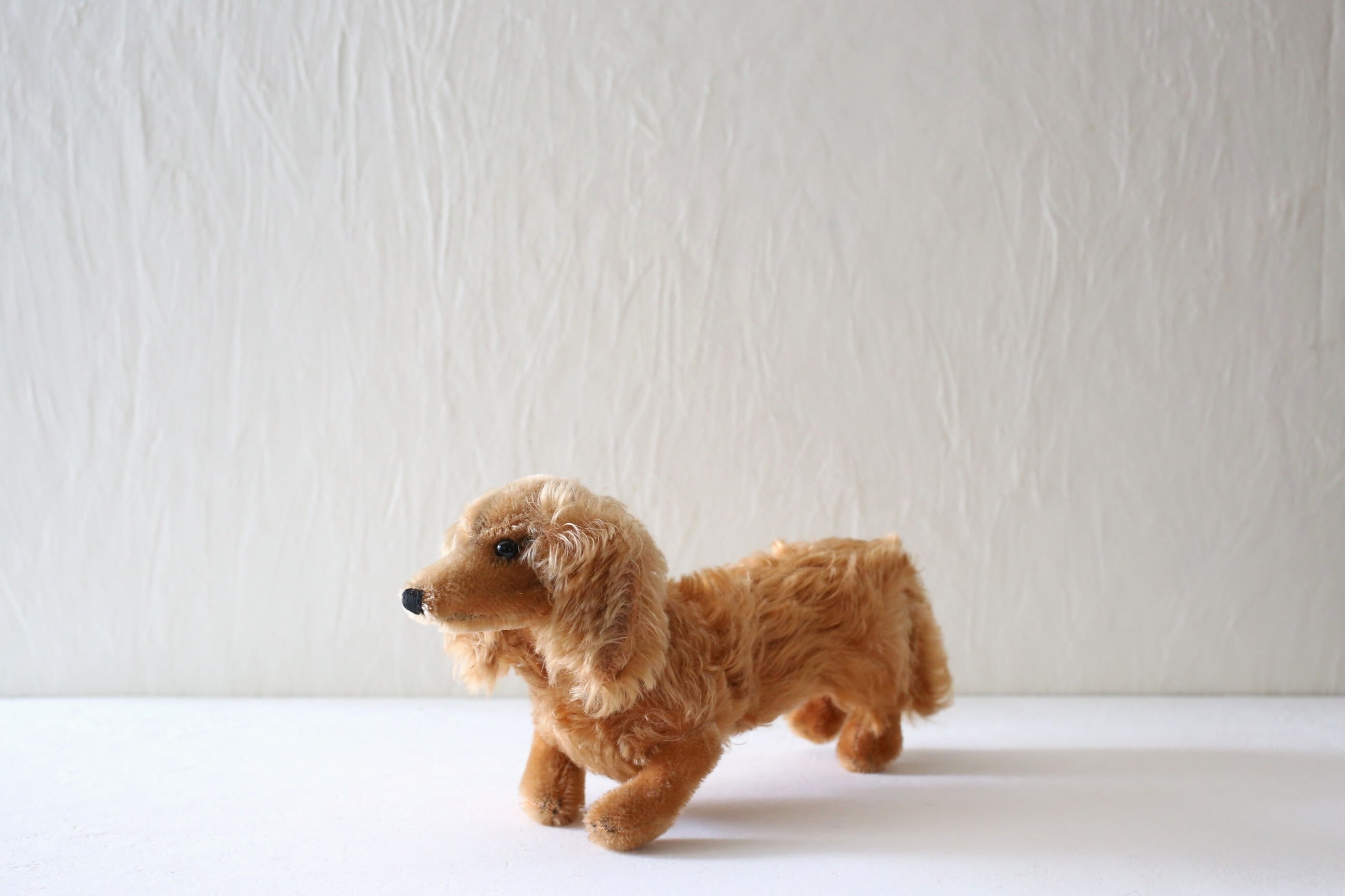 ドイツ ヴィンテージ Steiff シュタイフ ダックスフント『WALDI』 N