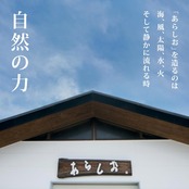 あらしお株式会社 あらしお 4kg 1袋 塩 粗塩 天然塩 自然塩 海水塩 平釜塩 盛り塩 4970168140015