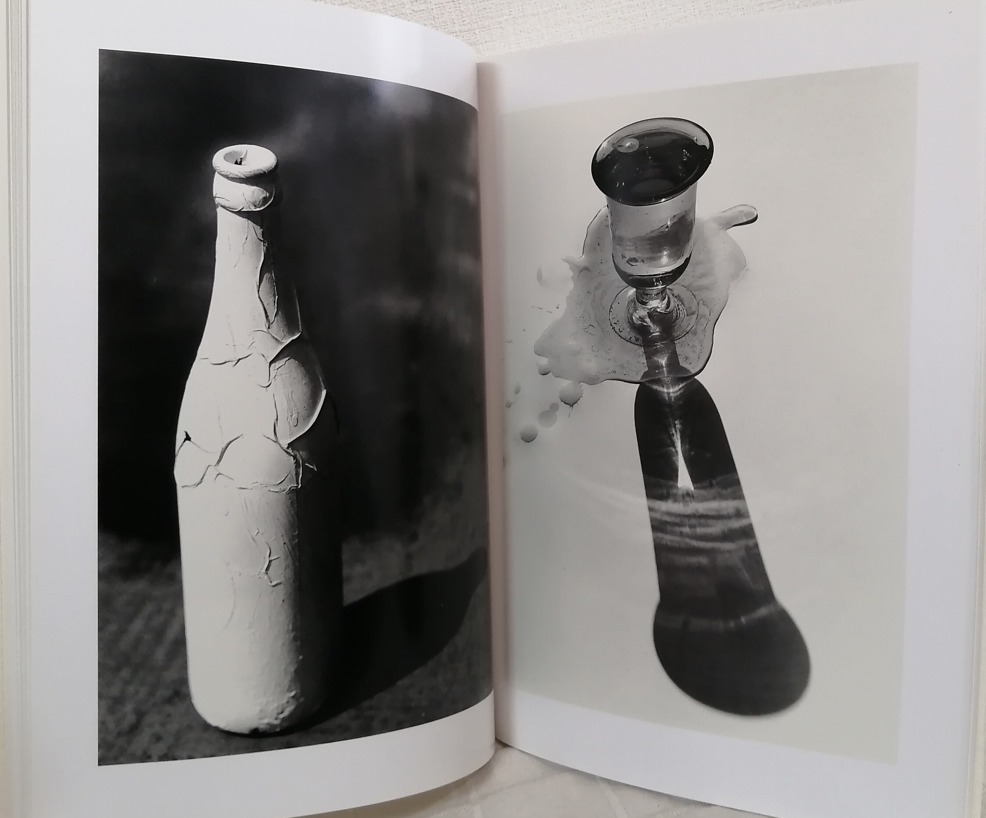 荒木経惟 NOBUYOSHI ARAKI 空景/近景 LAMENTS skyscapes / LAMENTS