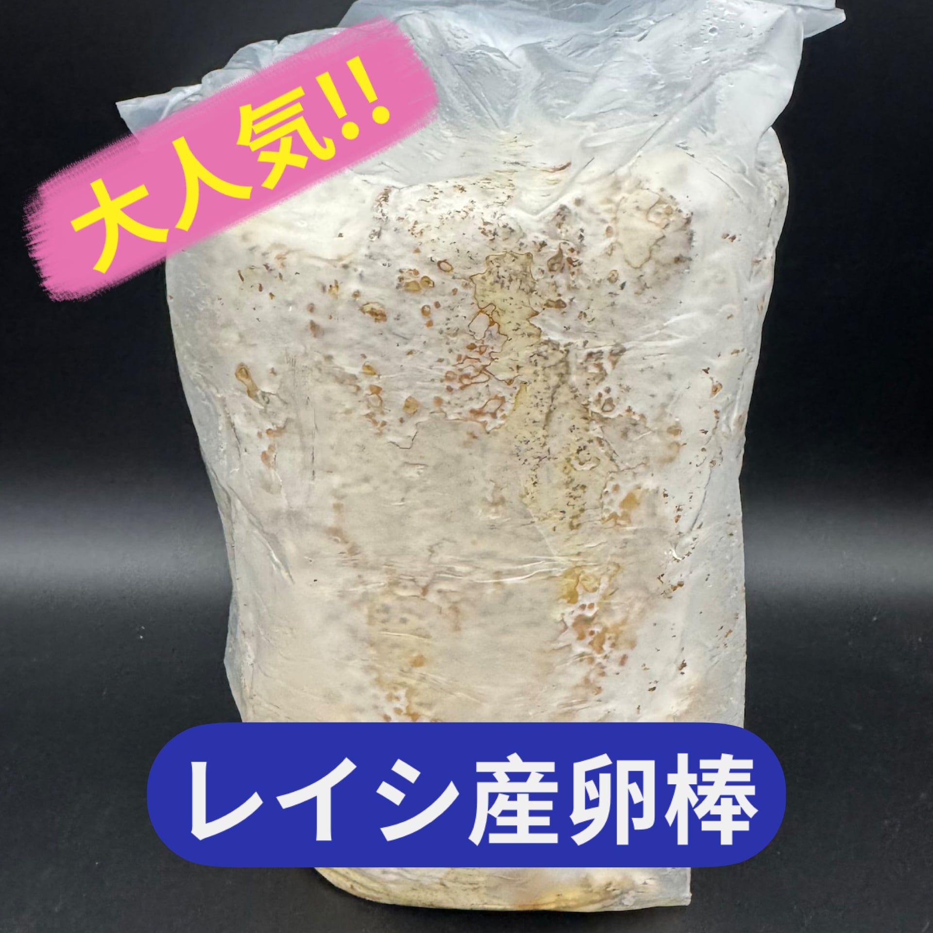 レイシ産卵棒 1本入り | KPW公式オンラインショップ