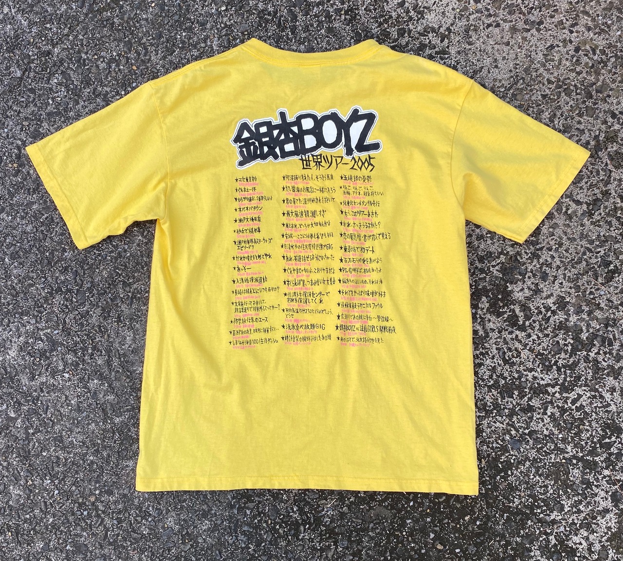 銀杏BOYZ 2005 世界ツアーT(47都道府県ツアータイトル大喜利 
