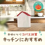コバエがホイホイ 赤い屋根のおうち コバエ駆除剤 本体+詰め替え×3 コバエ取り コバエ対策 コバエ駆除 捕獲 小バエ 罠 エサ 小蝿退治 室内