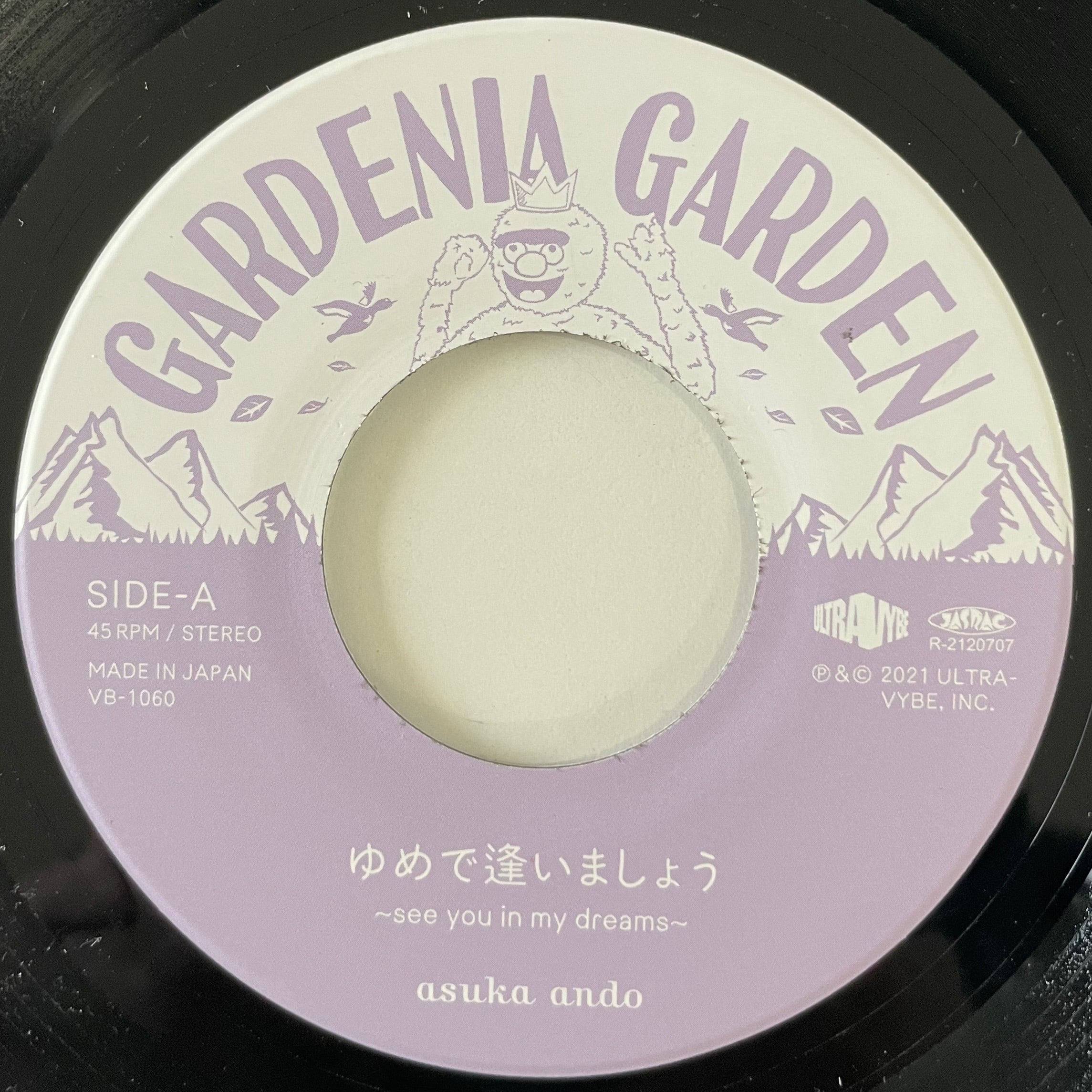 ASUKA ANDO / ゆめで逢いましょう 〜SEE YOU IN MY DREAMS〜(7