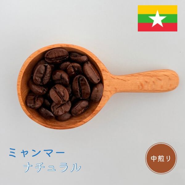 中煎り | ミャンマー ナチュラル スペシャルティコーヒー
