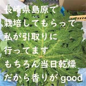 【長崎島原産】無農薬栽培 パパイヤの葉 15g（税・送料込）