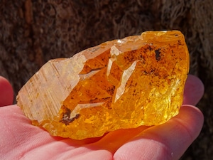 ゴールデンレインボーヒーラー